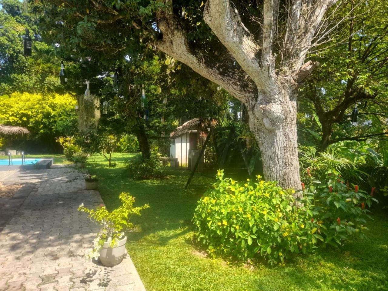 Tranquility Guest House Hikkaduwa Exteriér fotografie