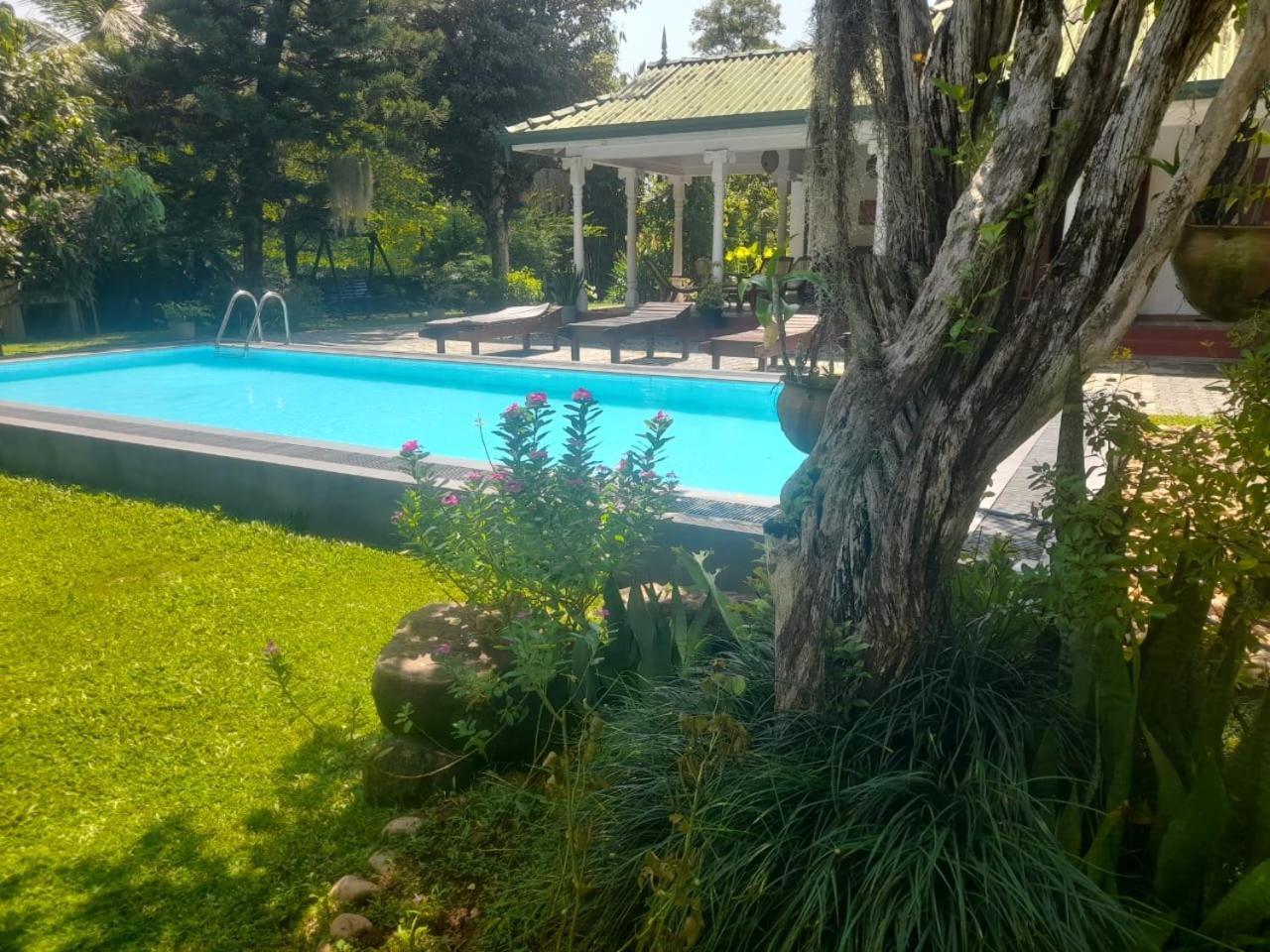 Tranquility Guest House Hikkaduwa Exteriér fotografie