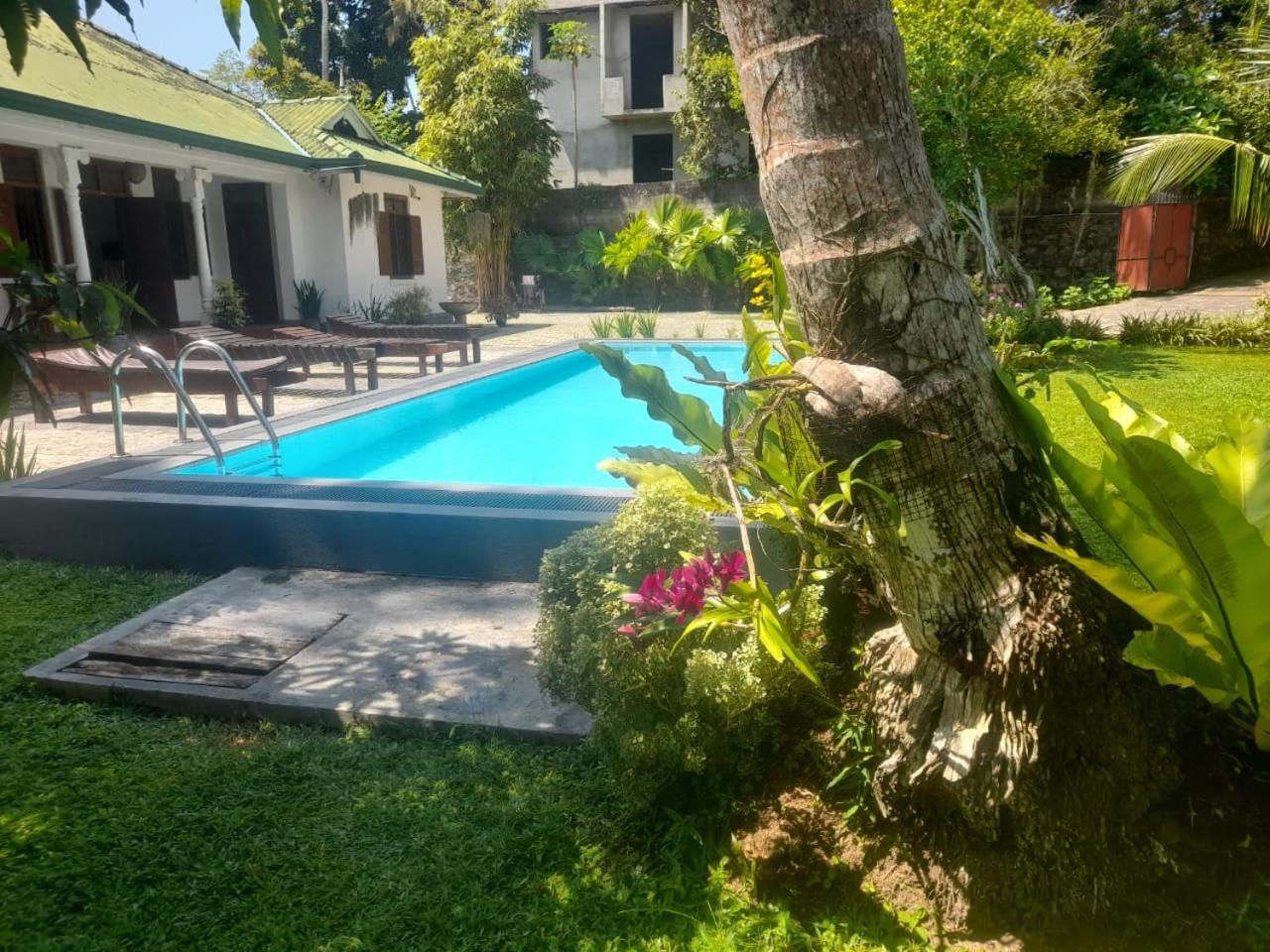 Tranquility Guest House Hikkaduwa Exteriér fotografie