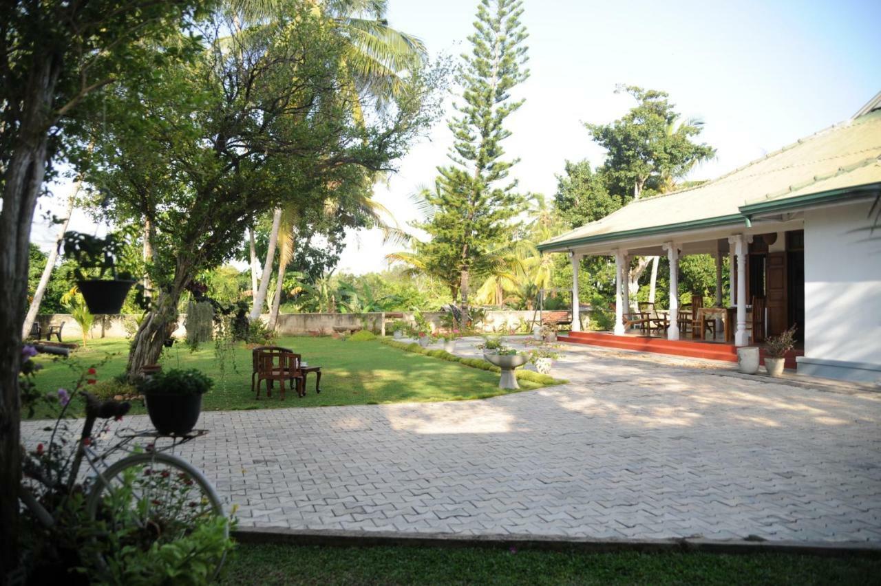 Tranquility Guest House Hikkaduwa Exteriér fotografie