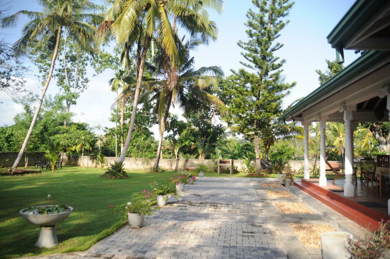 Tranquility Guest House Hikkaduwa Exteriér fotografie